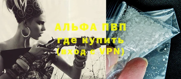 индика Саяногорск
